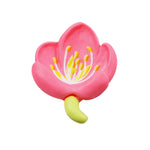 Cream Glue Flower Phone Case Resin Jewelry Accessories