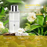 Smart Starry Car Aromatherapy Spray Ambience Light
